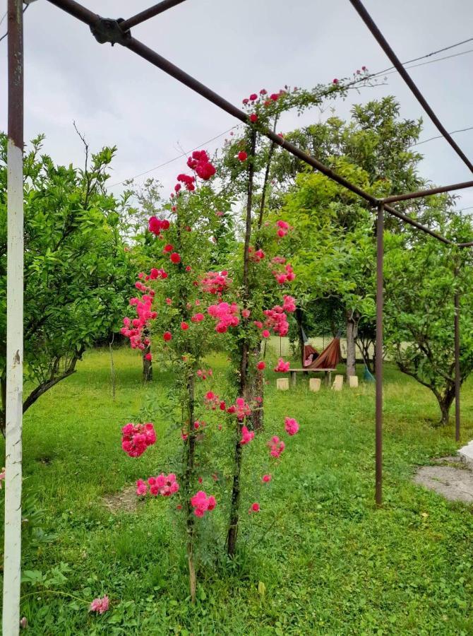 Nini'S Sweet House Hotel Matkhoji Bagian luar foto